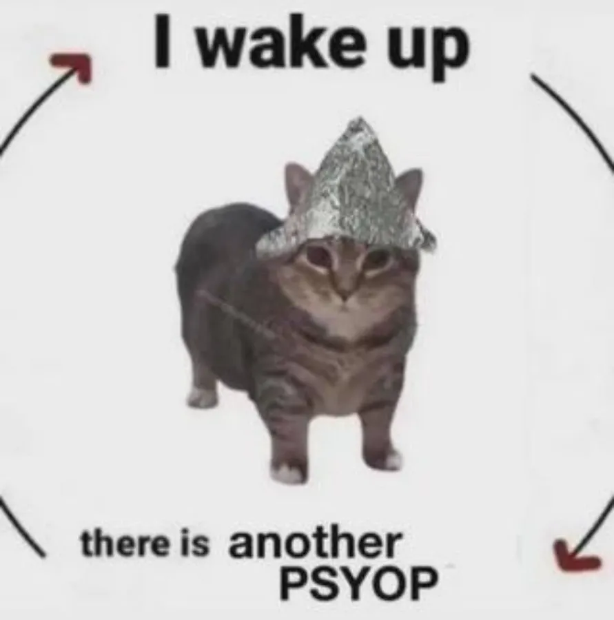 Untitled meme
