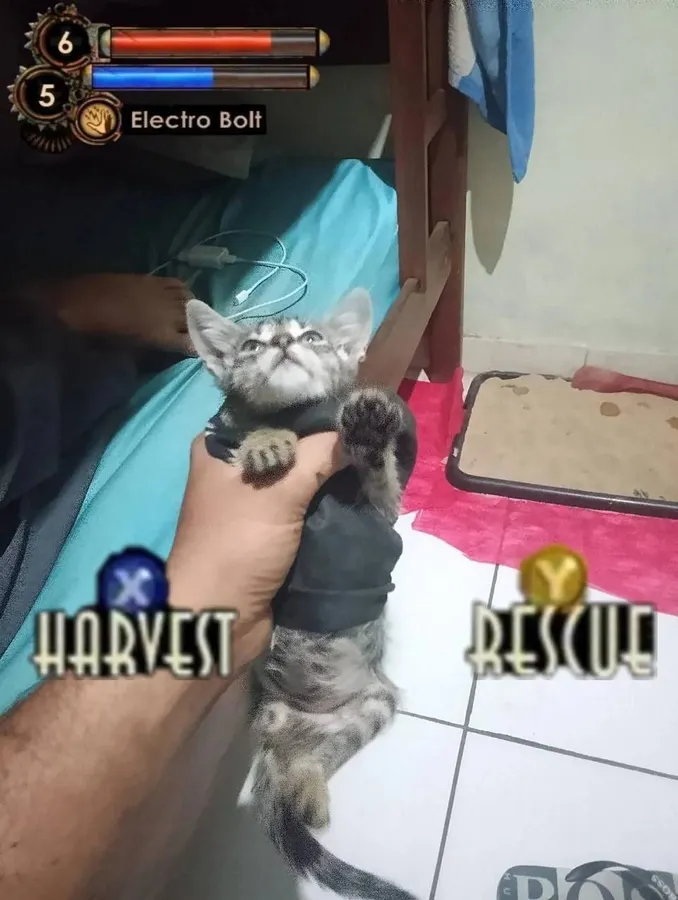 Untitled meme