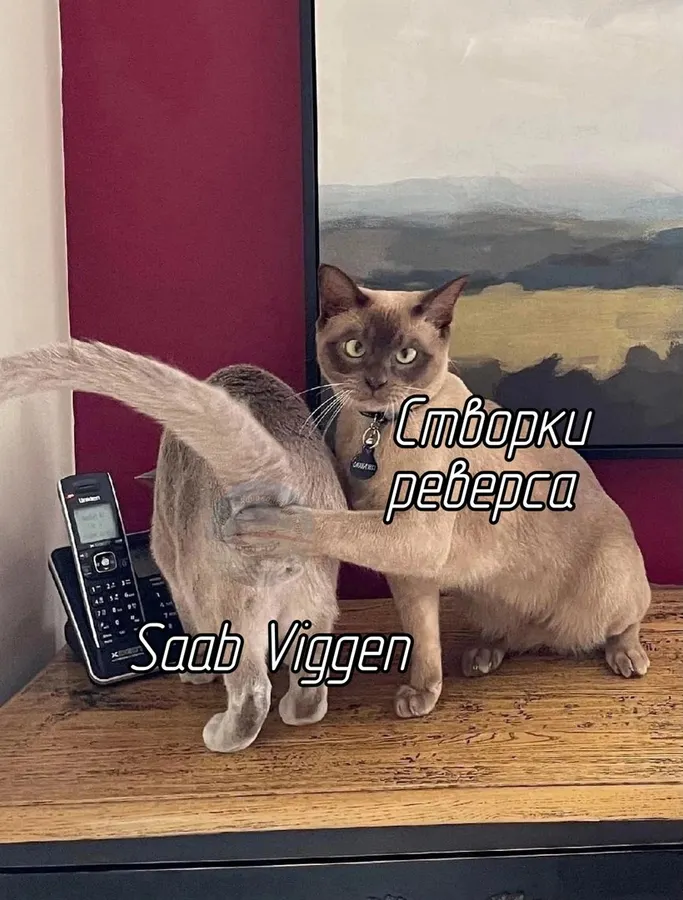 Untitled meme