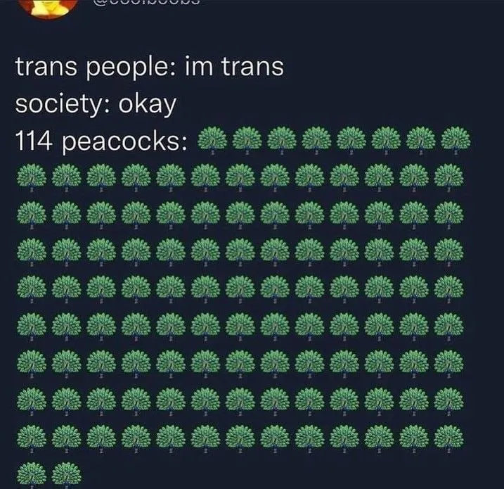 Untitled meme