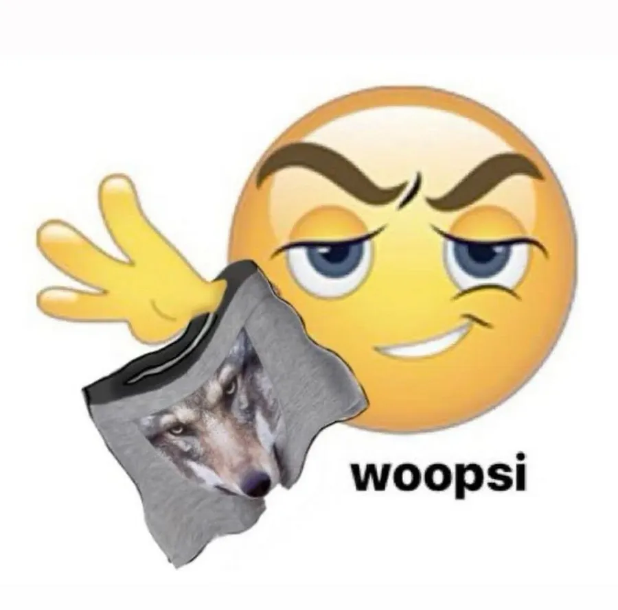 Untitled meme