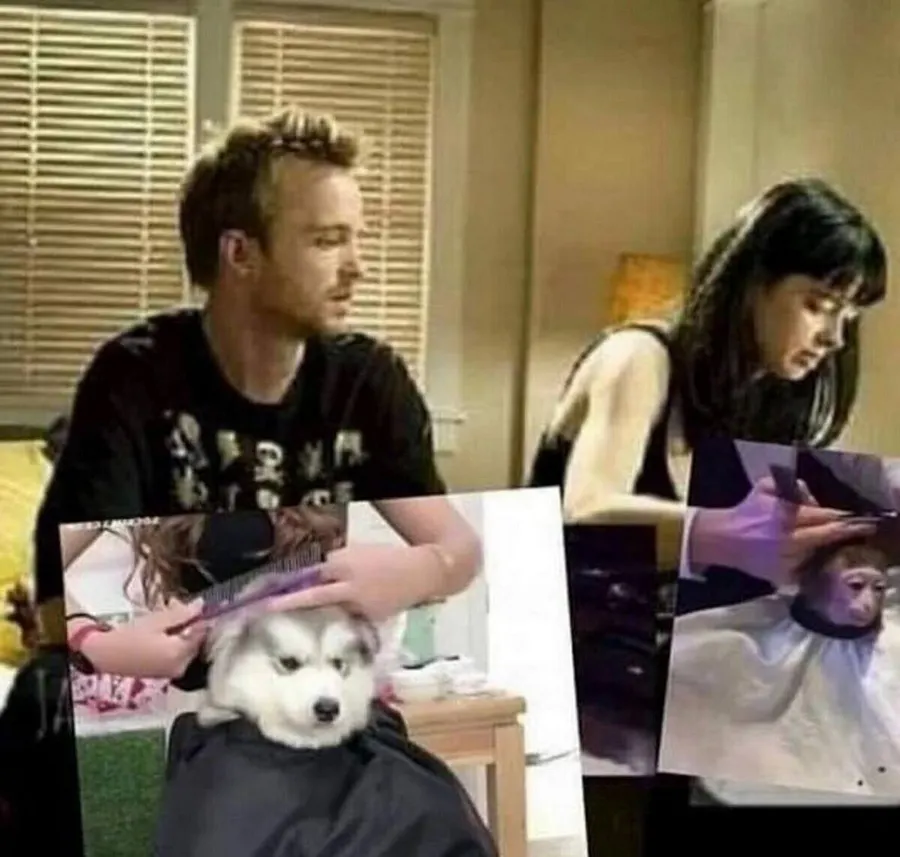 Untitled meme