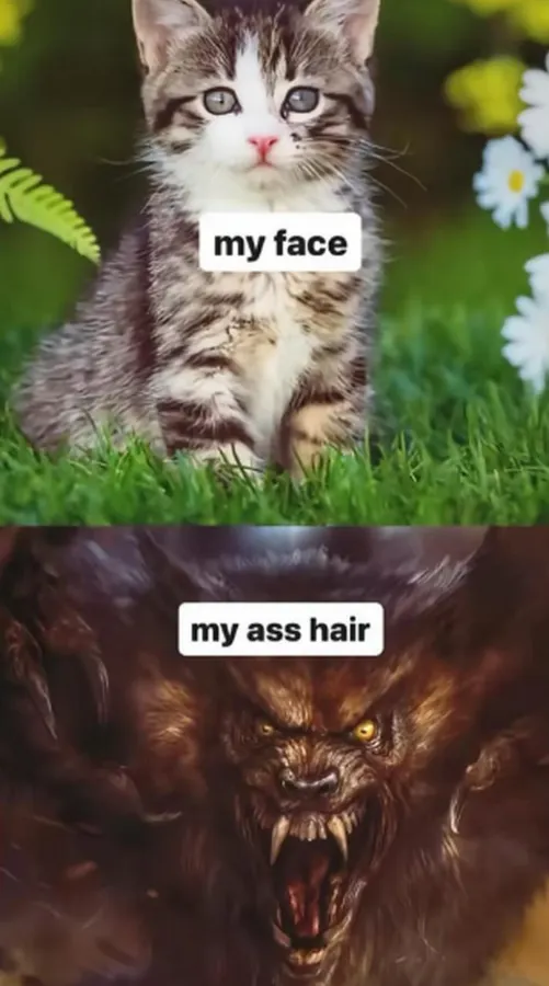 Untitled meme