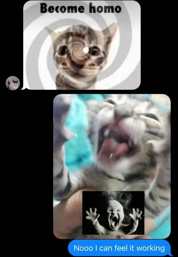 Untitled meme