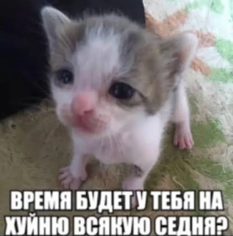 Untitled meme