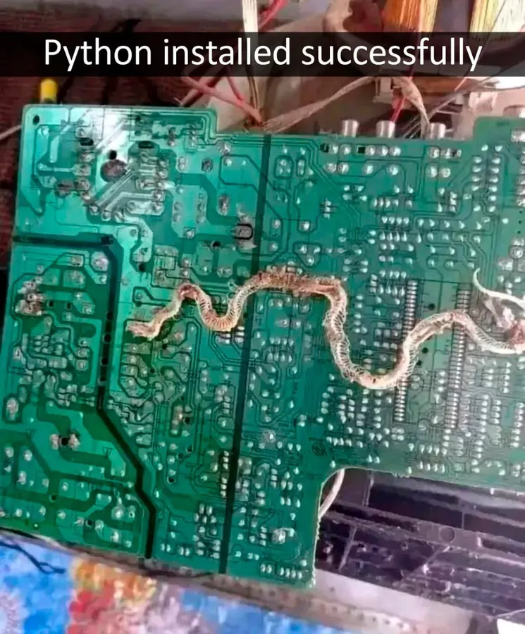 Untitled meme