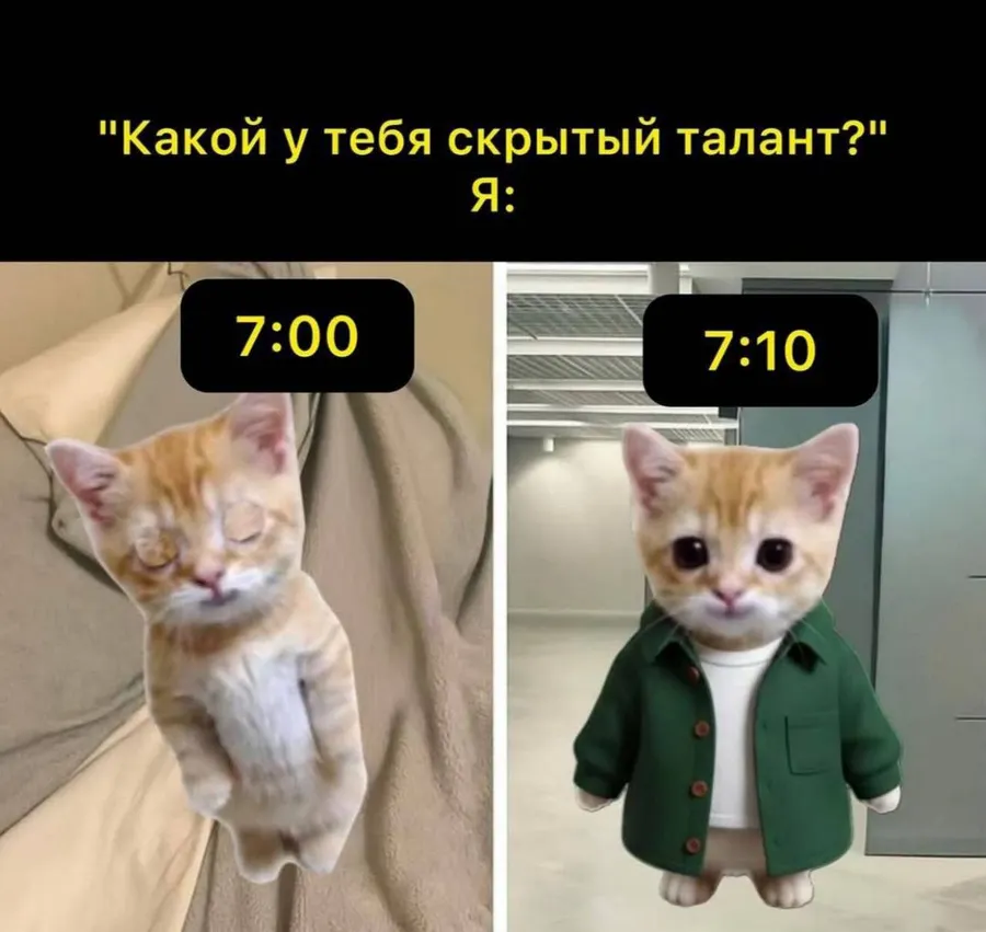Untitled meme