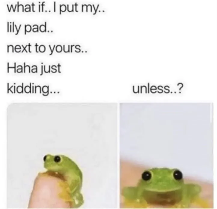 Untitled meme
