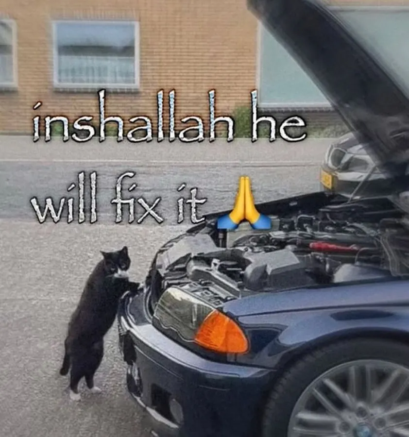 Untitled meme