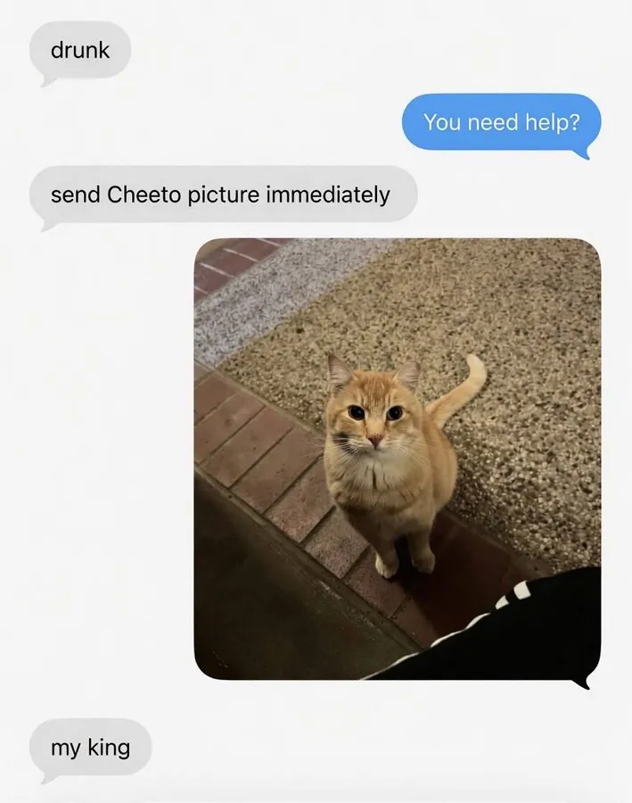 Untitled meme