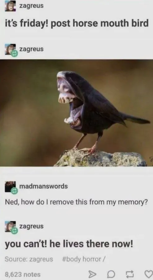 Untitled meme