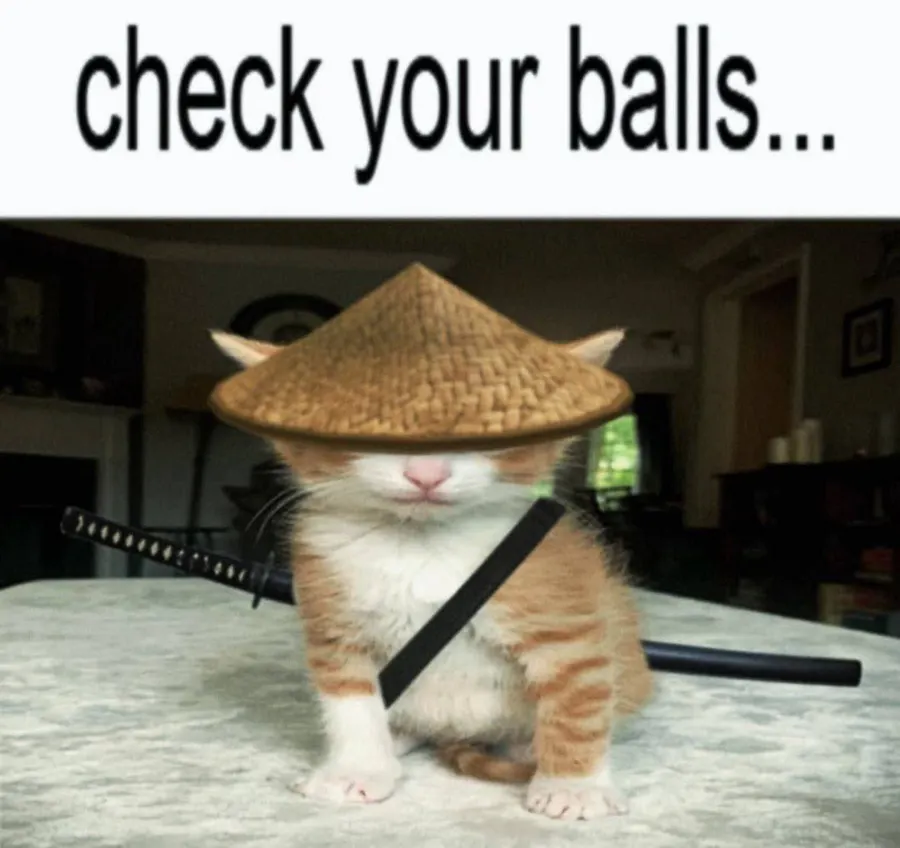 Untitled meme
