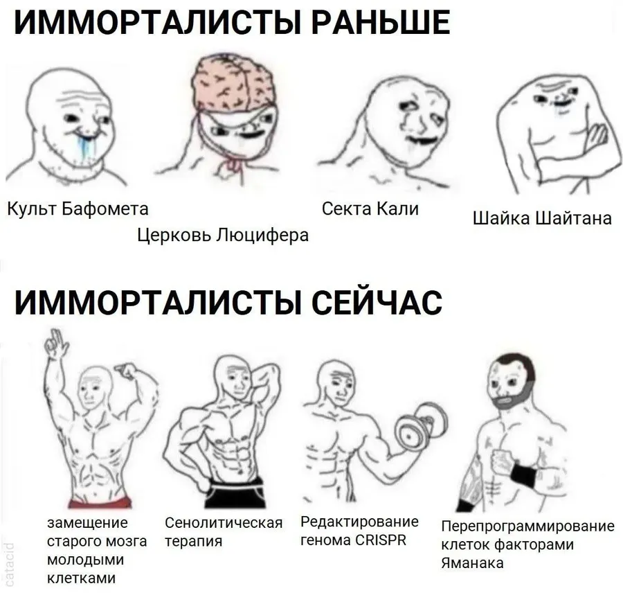 Untitled meme