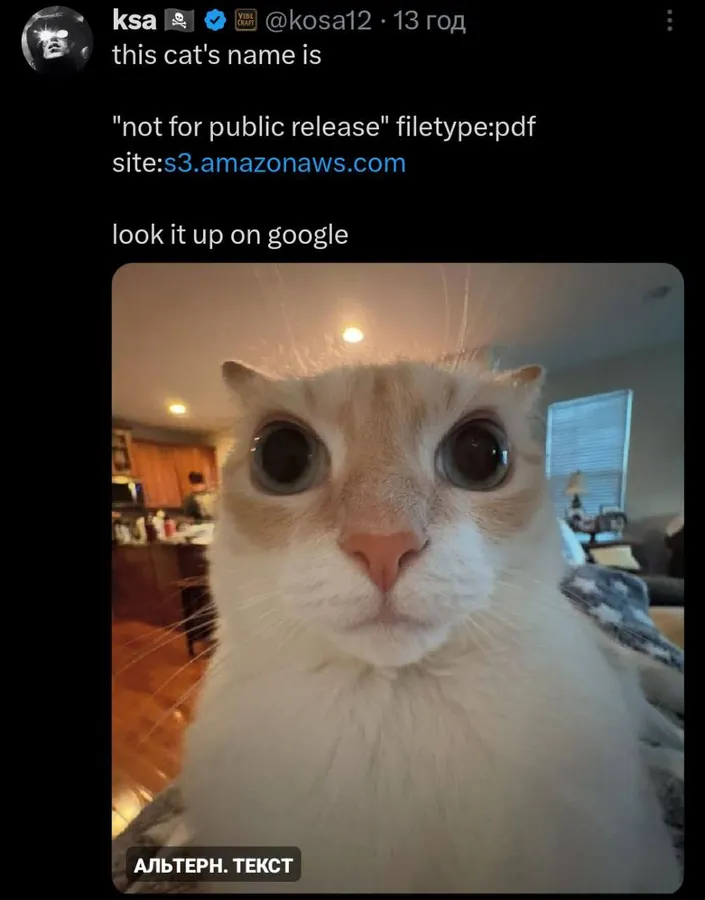 Untitled meme
