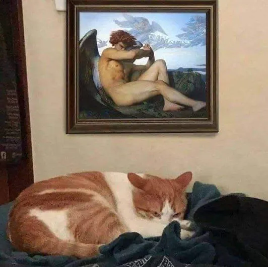Untitled meme