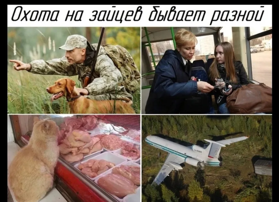 Untitled meme