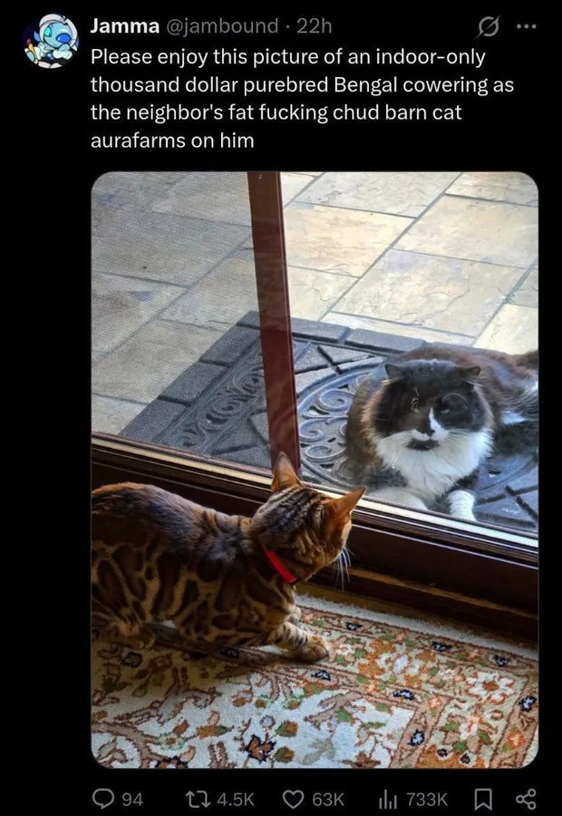 Untitled meme