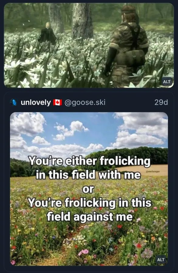 Untitled meme