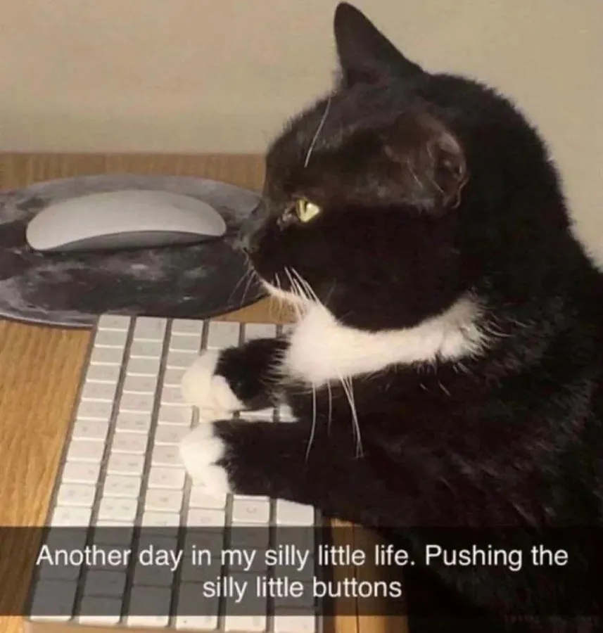 Untitled meme