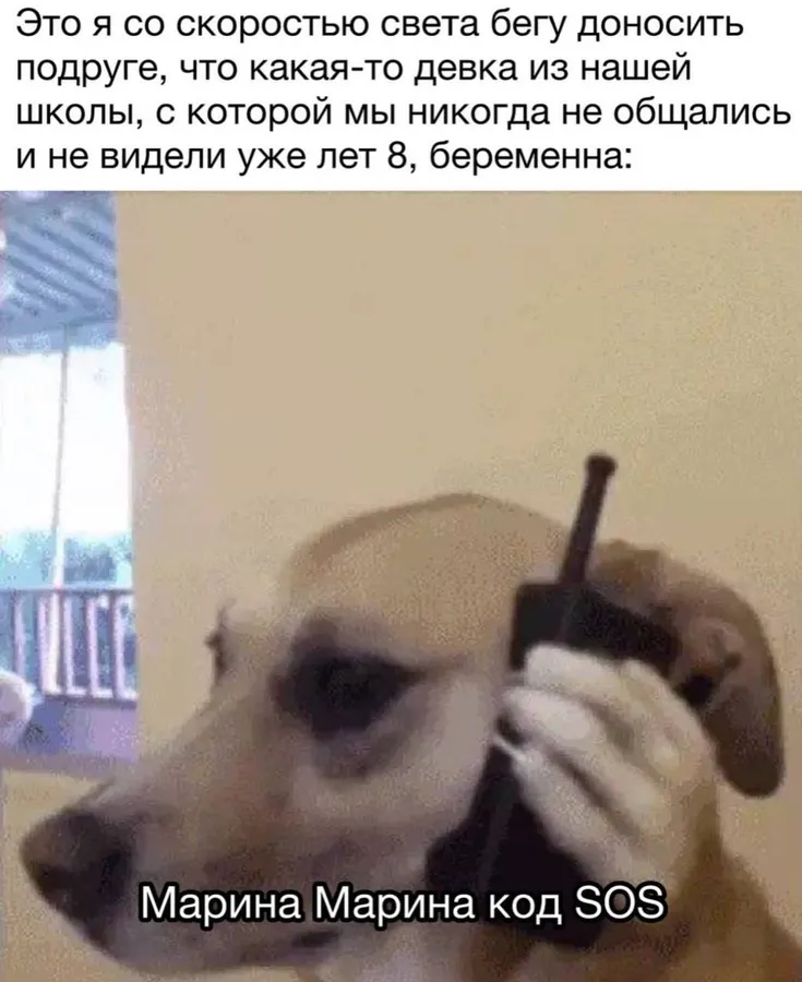 Untitled meme