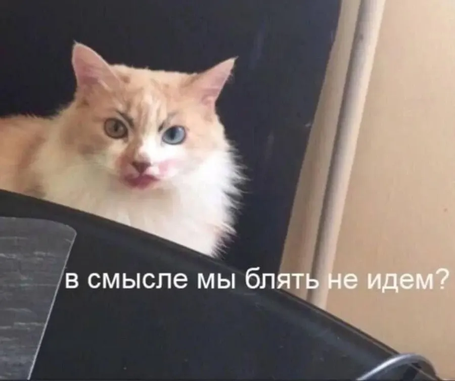 Untitled meme