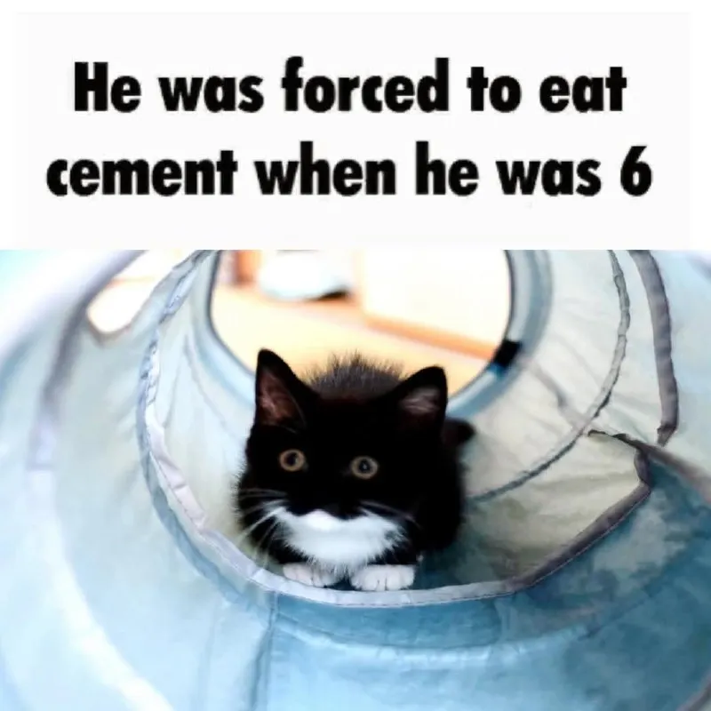 Untitled meme