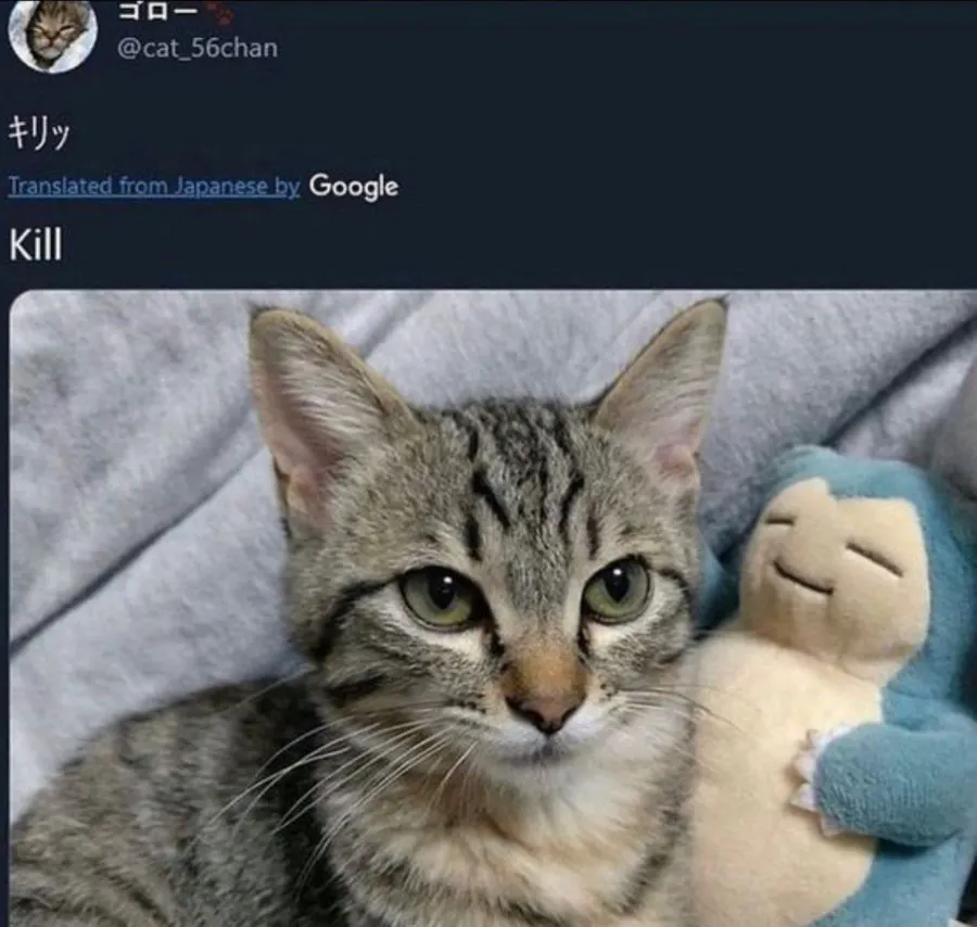 Untitled meme