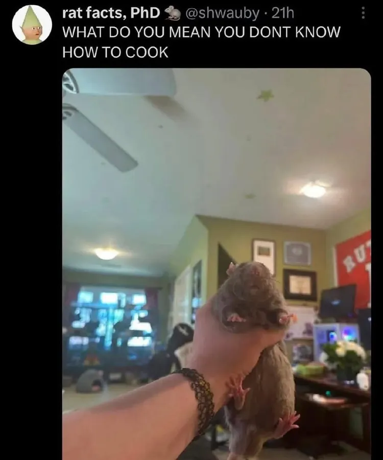 Untitled meme