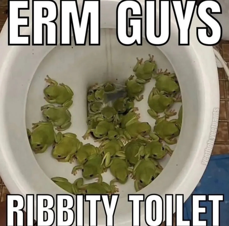 Untitled meme
