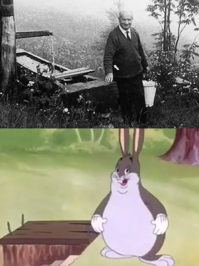 Untitled meme
