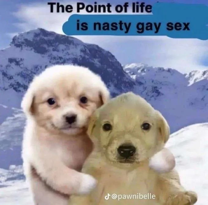 Untitled meme