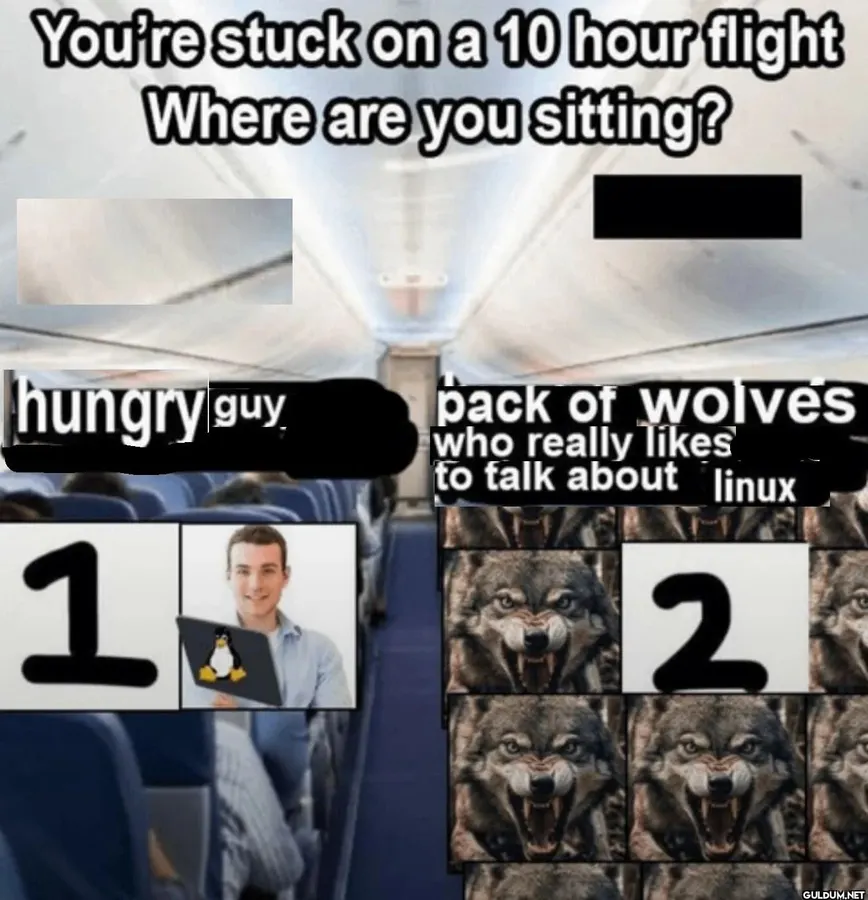 Untitled meme