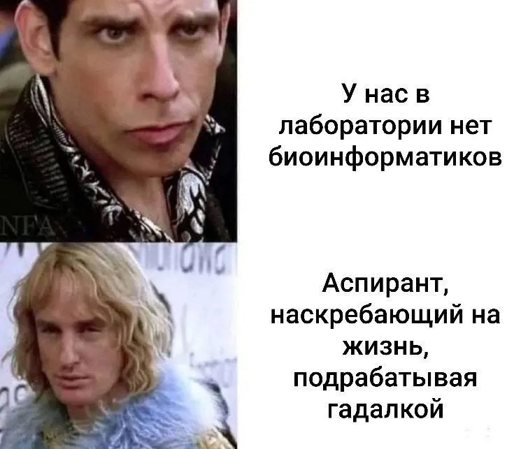 Untitled meme