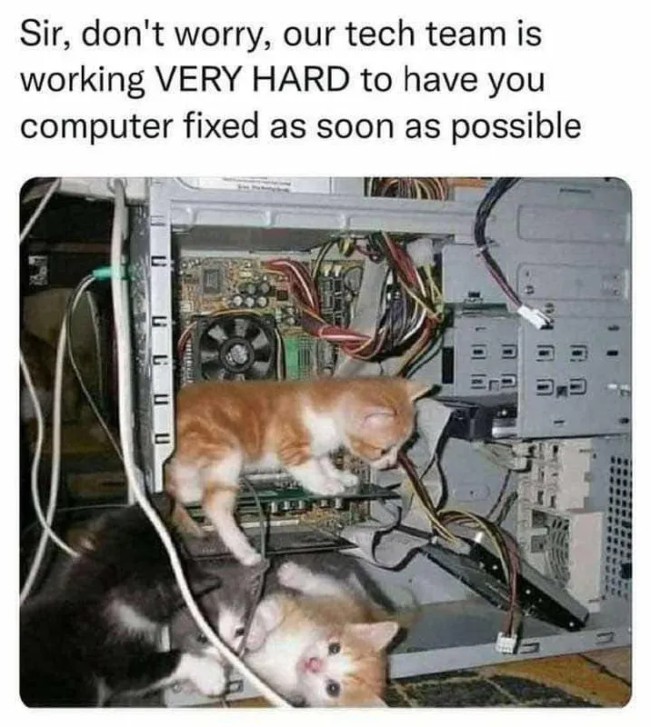 Untitled meme