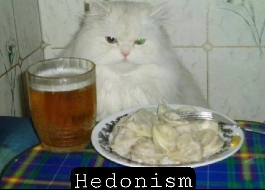 Untitled meme