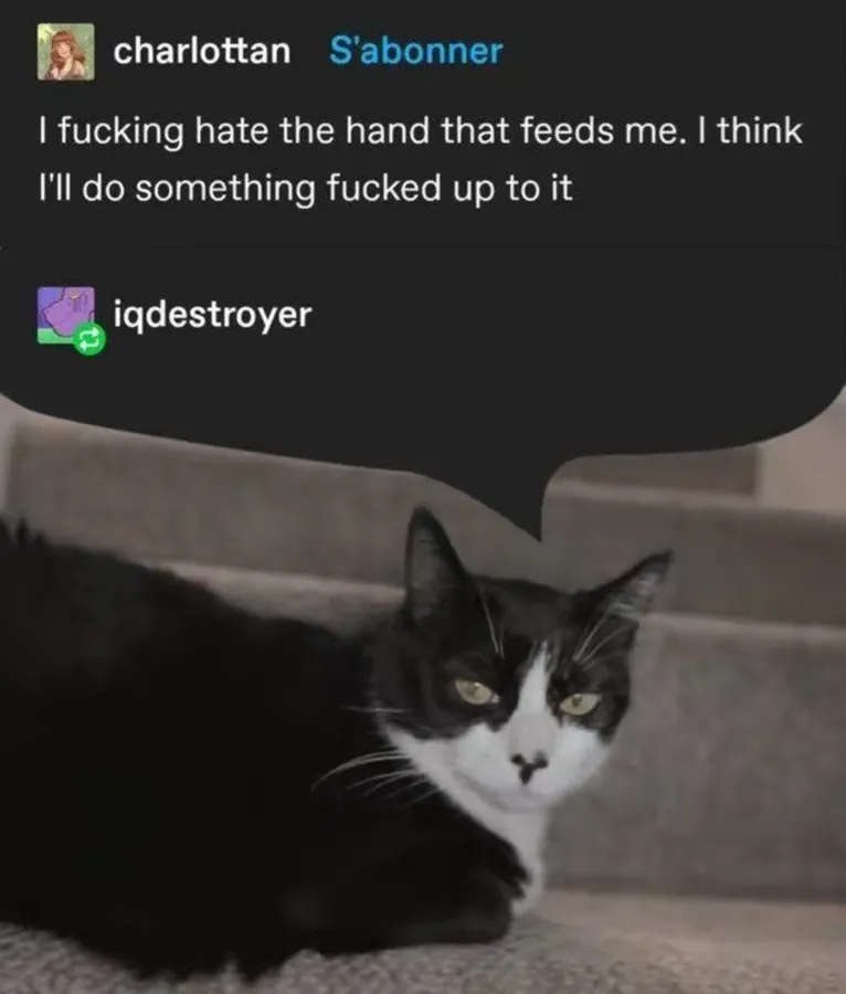 Untitled meme