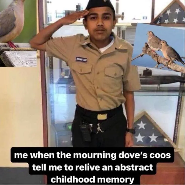 Untitled meme