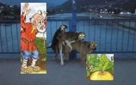 Untitled meme