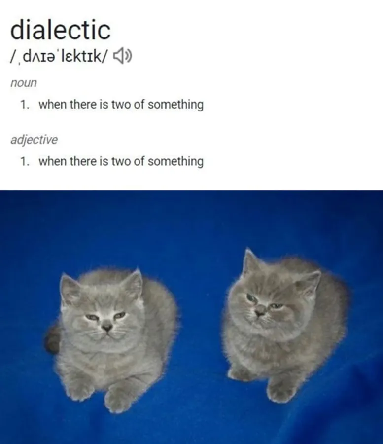 Untitled meme