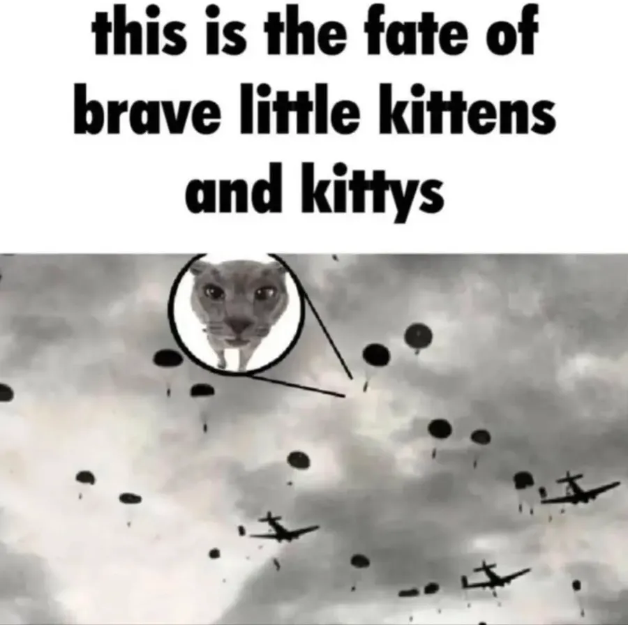 Untitled meme