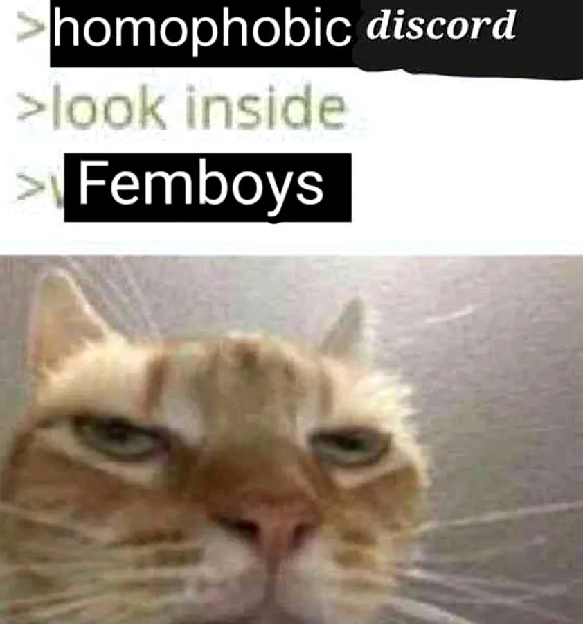 Untitled meme