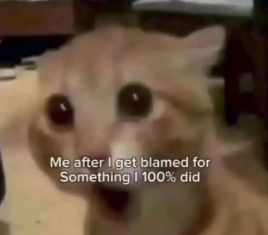 Untitled meme