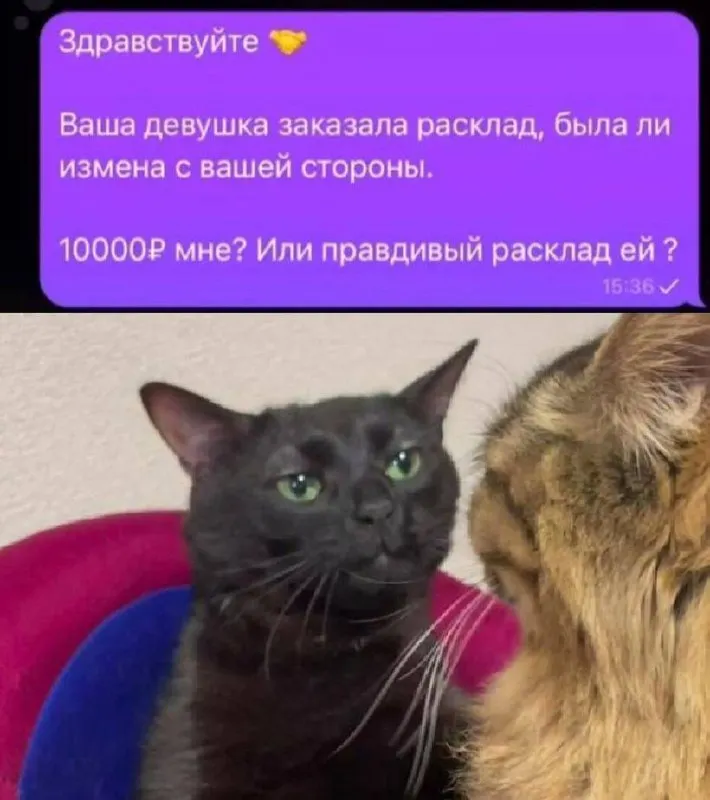 Untitled meme