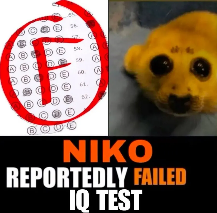 Untitled meme