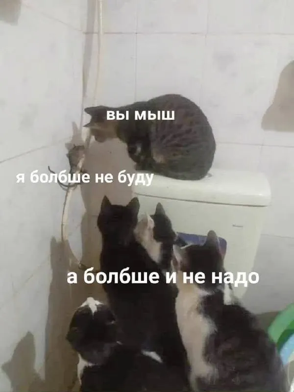 Untitled meme
