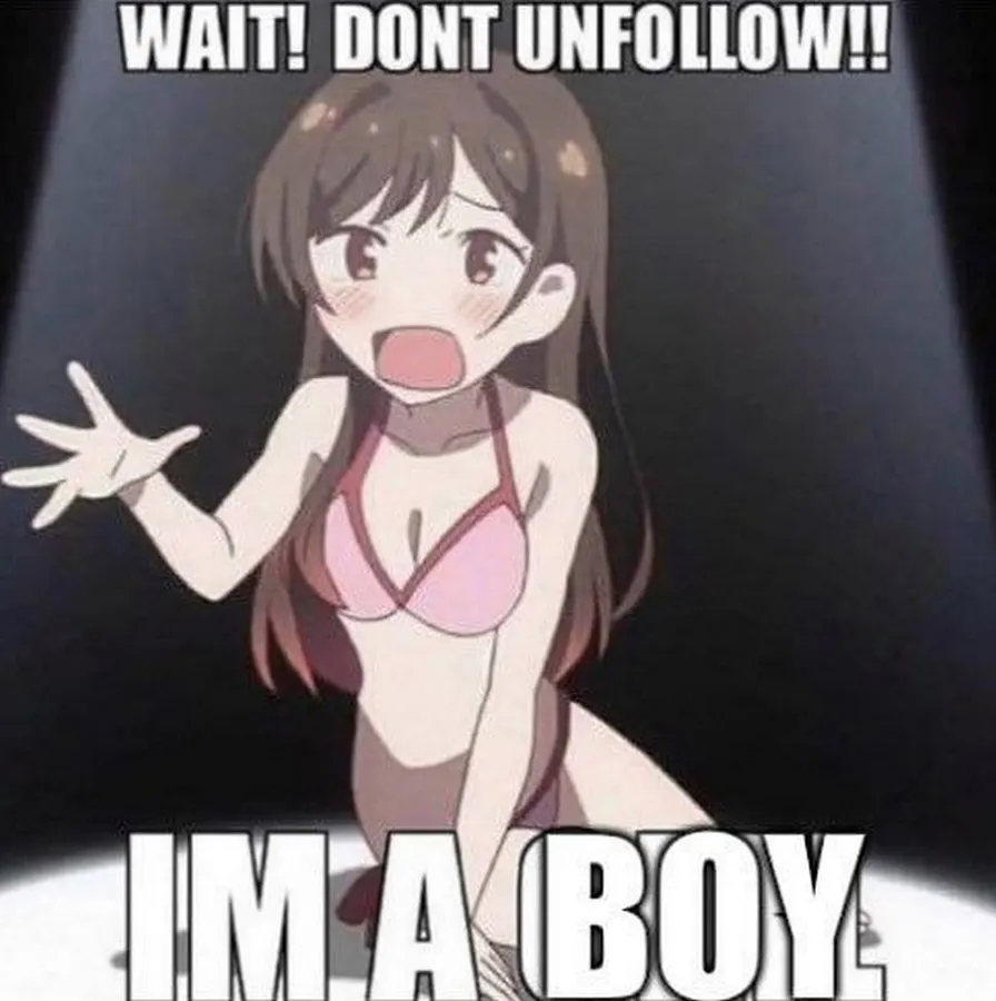 Untitled meme