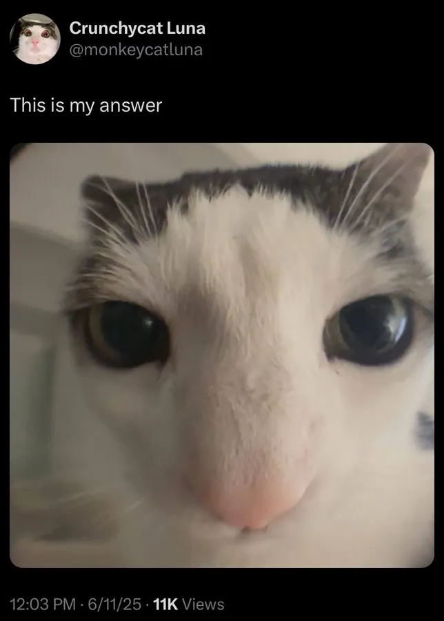 Untitled meme