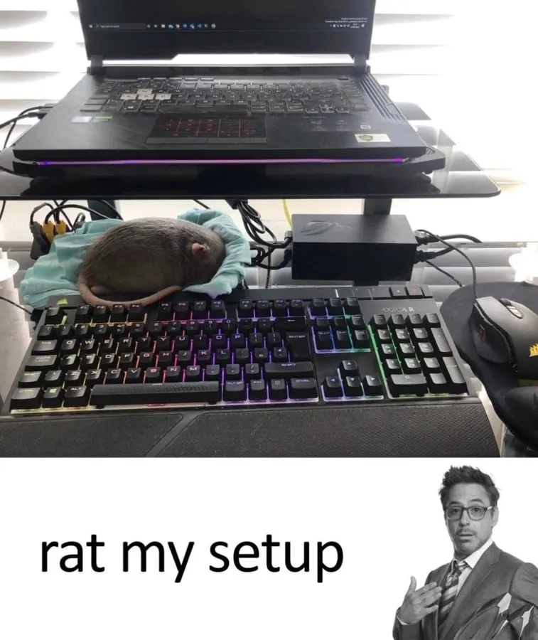 Untitled meme