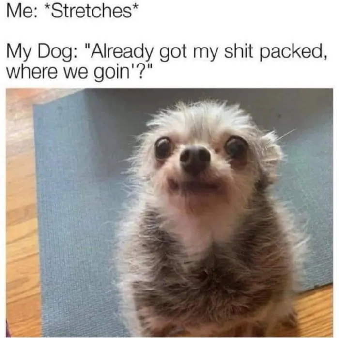 Untitled meme