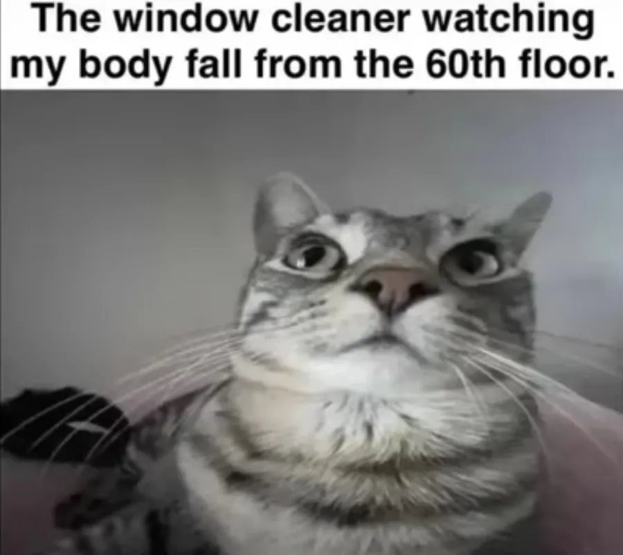Untitled meme